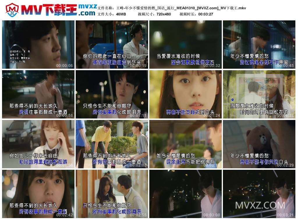 王峰-年少不懂爱情的愁_国语_流行_MEA01310